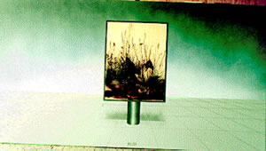 Plakat Stephen Jacob